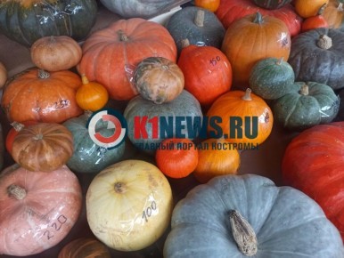 Тыквенный Спас: Все, что нужно знать о празднике и его кулинарных традициях