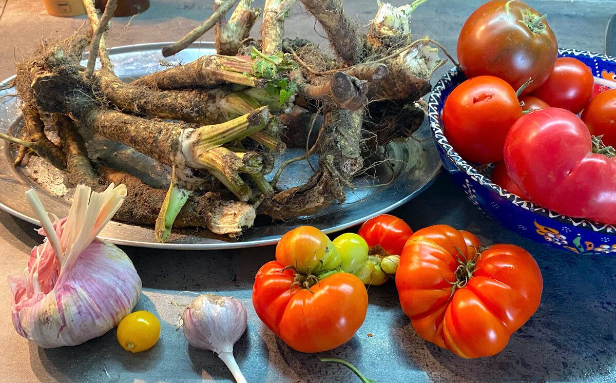 ��� ����������� �������� �� ����: ��������� ��������� ��� ����� ����