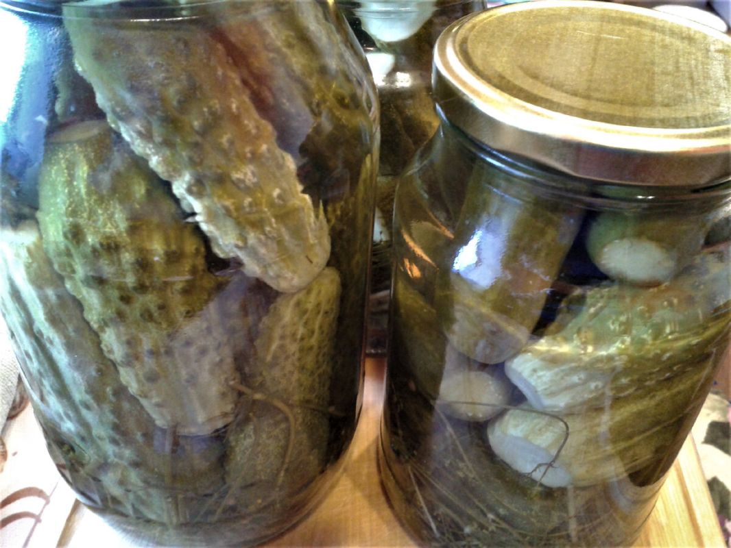 ������� ������ ����������� ������: ������ � ������