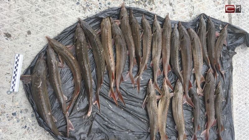 ������������� � ����������� ������: ������ �� ���������� ����� ���� ������