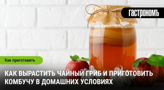 ������ ����: ��� ��������� � ����������� ���������� �������