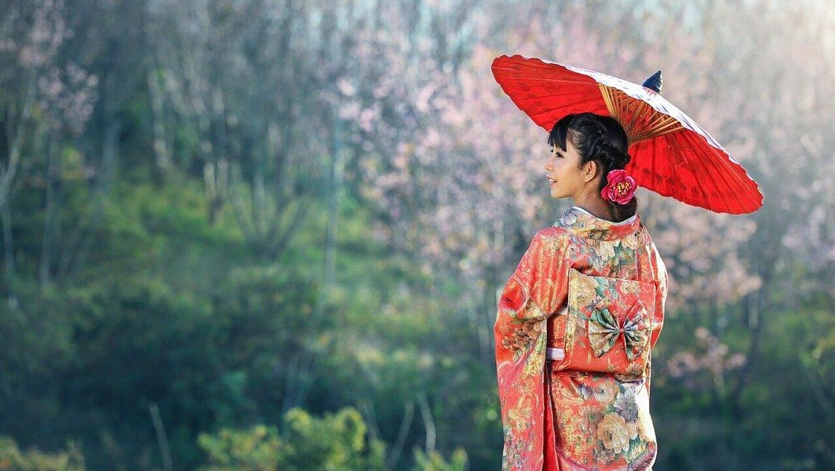 ����� ������� ����� ������ �����������