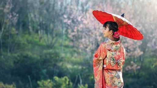 ����� ������� ����� ������ �����������