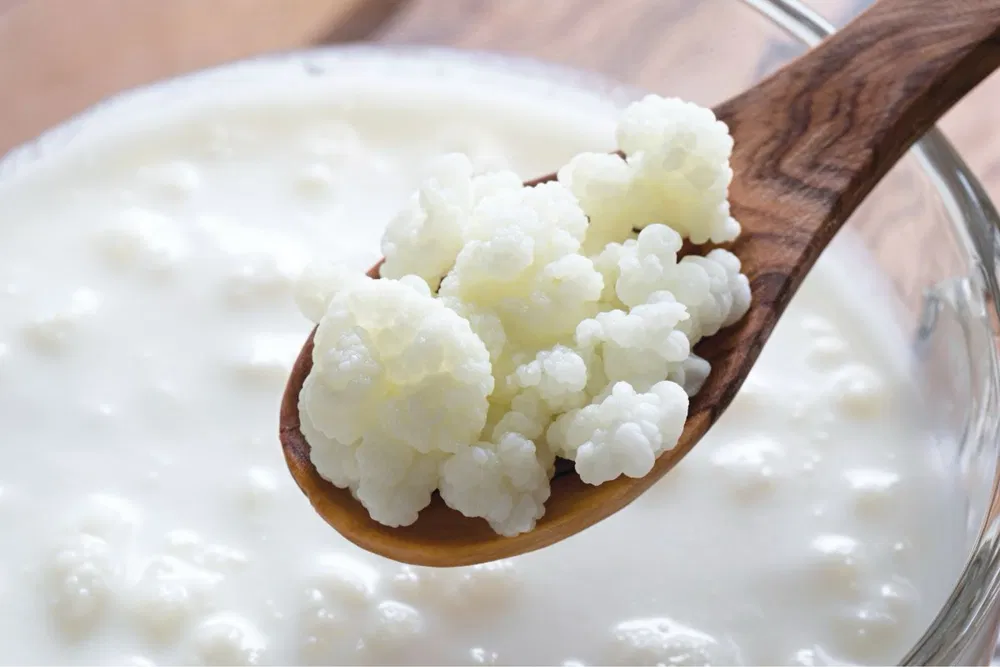 Польза молочного гриба: натуральный boost для вашего здоровья