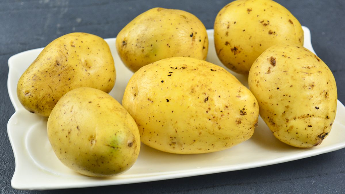 ��������� ������� ����� ���������, ������� ������ ���