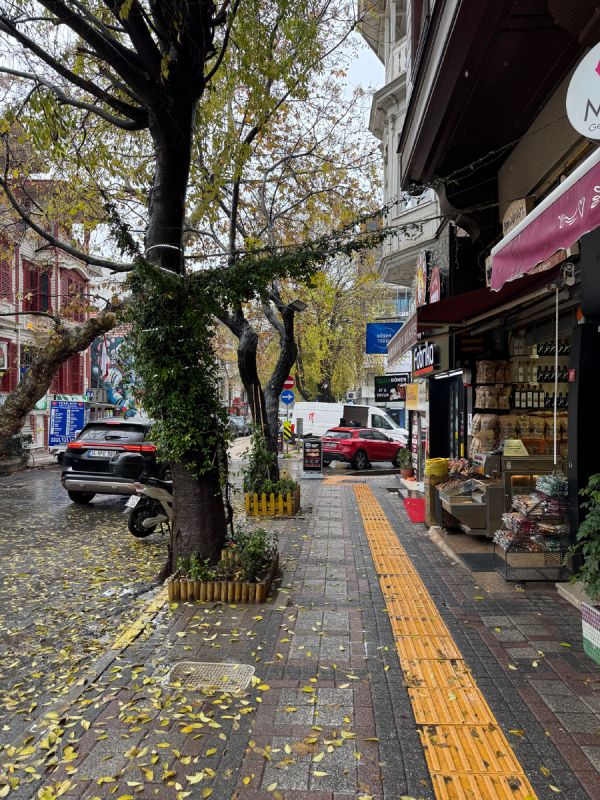 ������� ��������� ����� ����: ������� ������� � ��������� �������