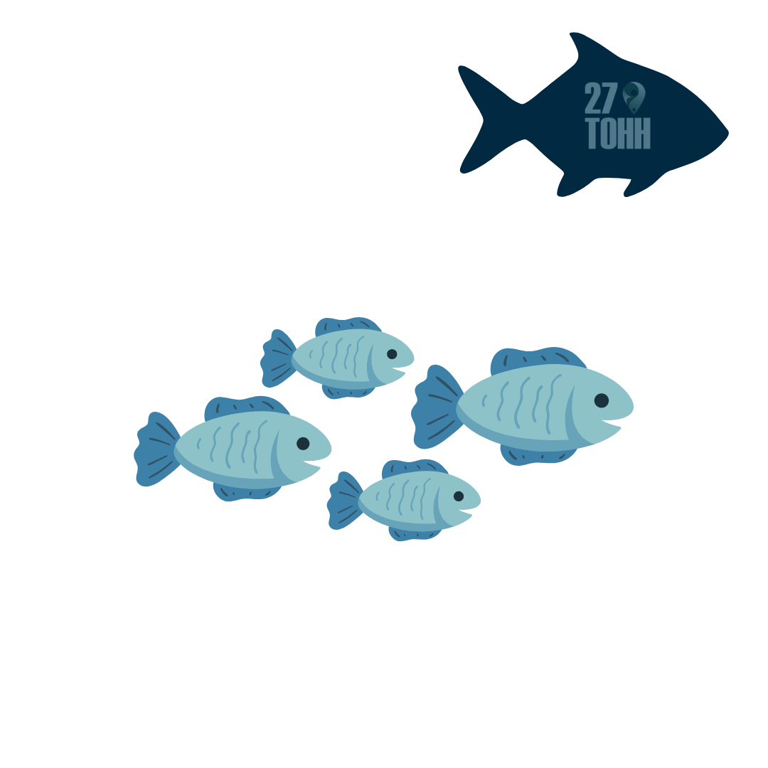 Как складываются цены на рыбу: анализ оптового рынка