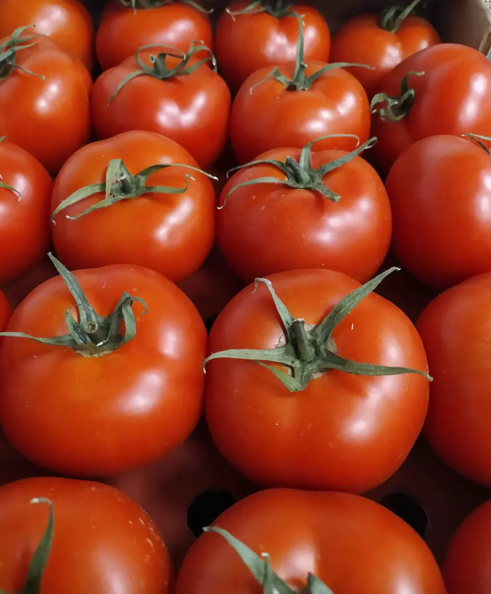 Экономия времени: зима без забот о консервации