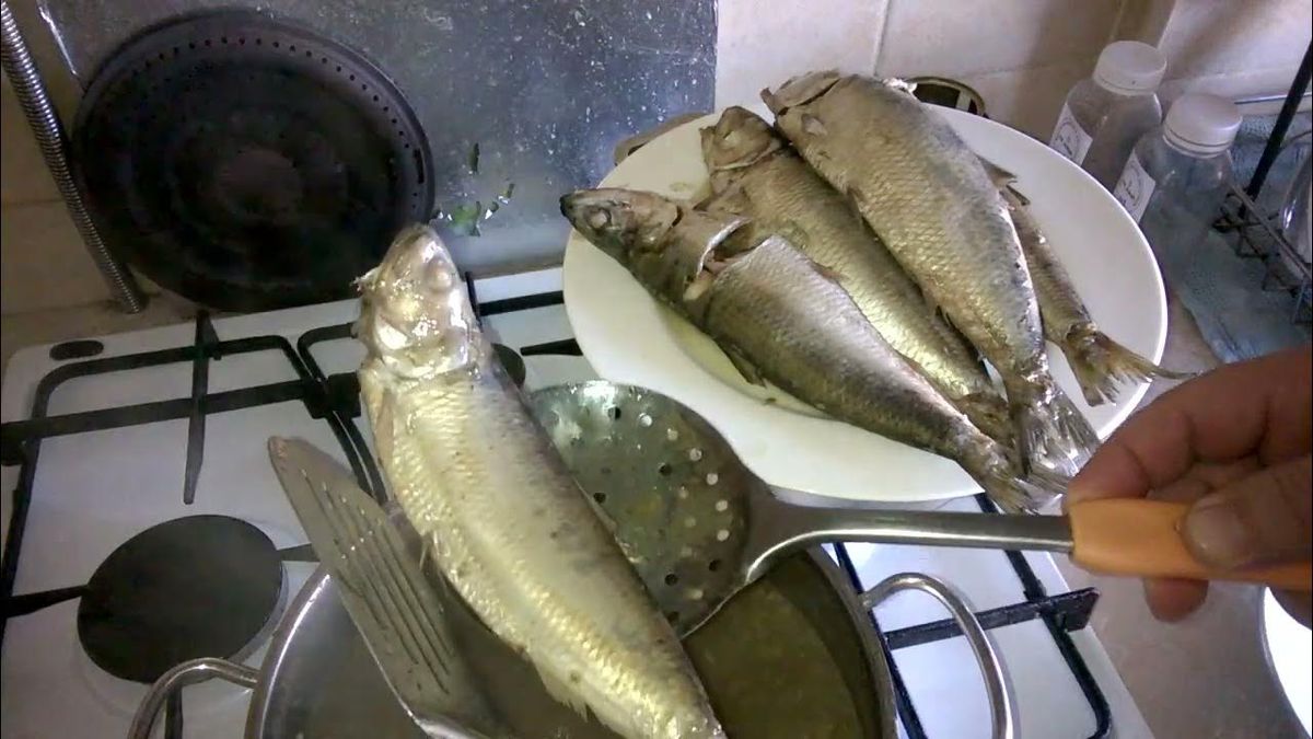 ������ ��������: ��� ����� ��� �������� �����������