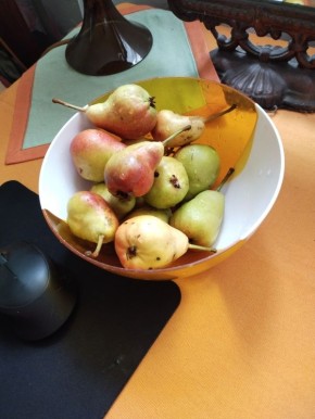 ���������� ����������� �� ����: ��� ������ � ������ �������� �� ������ �������