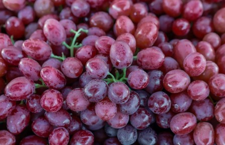 ������� �� ��� �������� ���������: ������� �������� ��� �����������