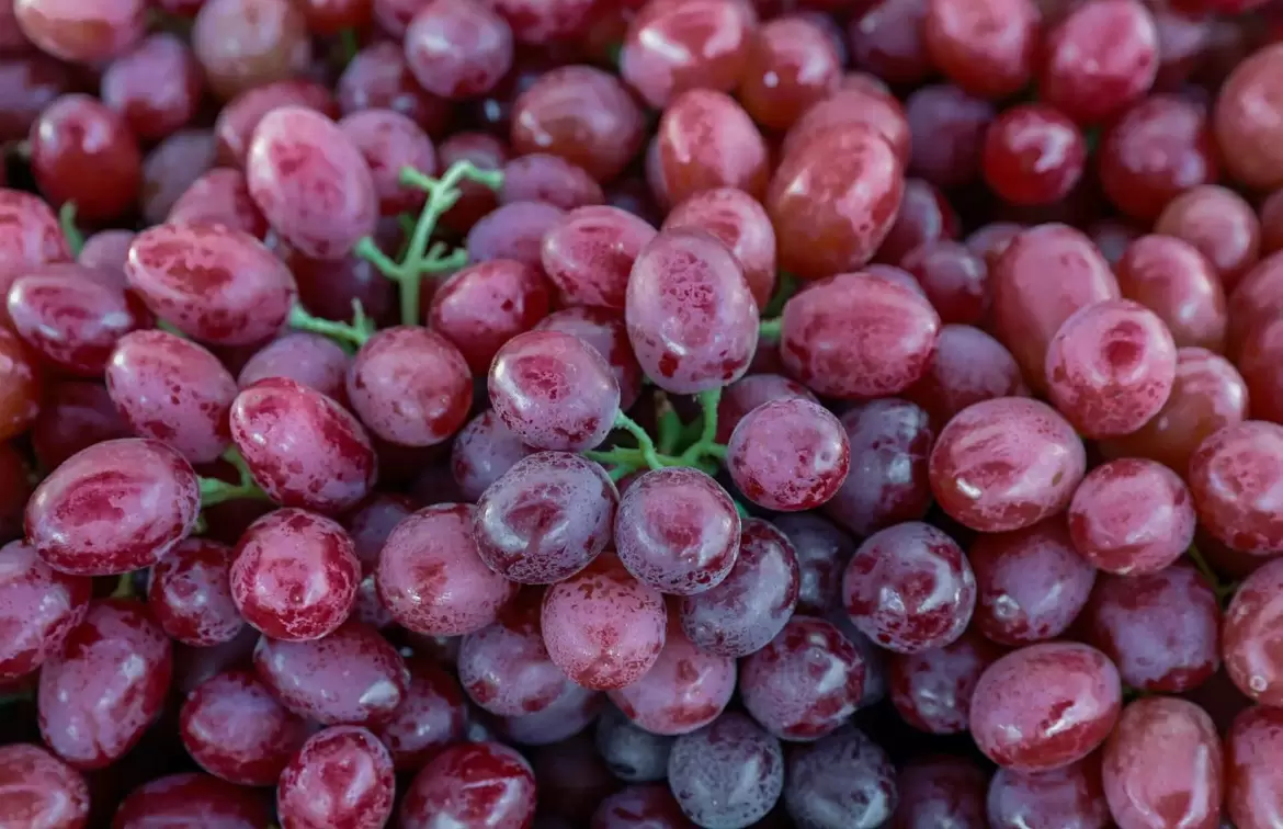 Сладкий яд или полезное лакомство: красный виноград под микроскопом