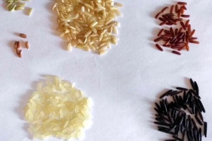 ��� ������� ���: ������� �������� � �����