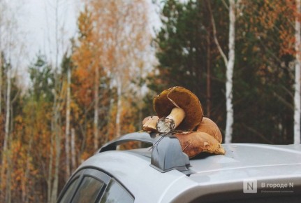 ������������ ������� �����: ��� �������� ������ ������������� �������