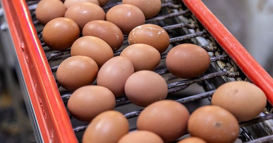 ��� ��������� �������� ����: ������ �� ����������������