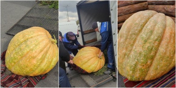 � ������ ��������� �����-�������: 230 �� �������� �������