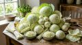 Капуста на столе: 7 причин, почему она должна стать вашим ежедневным продуктом