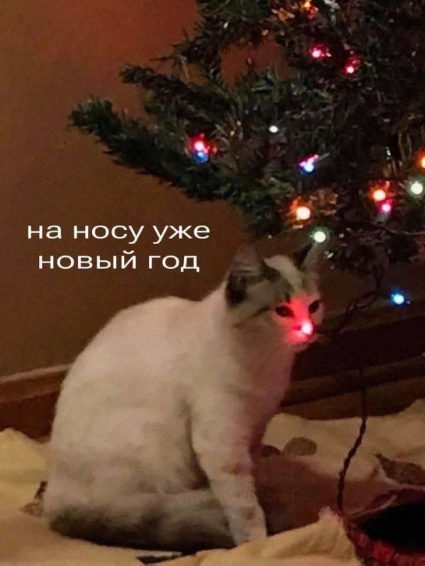 Дайджест простых и вкусных блюд
