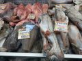 Цены на рыбу в Вологде: новогодние сюрпризы и изменения на рынке
